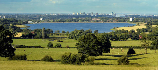 Estate Agents in Bartley Green