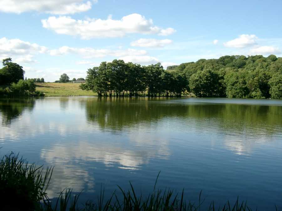 A lake reflecting the clouds with green trees on the side