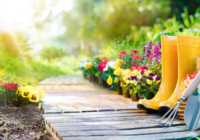 Top Gardening Tips For Landlords
