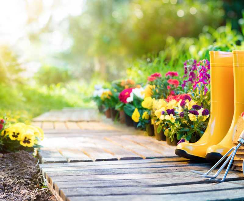 Top Gardening Tips For Landlords