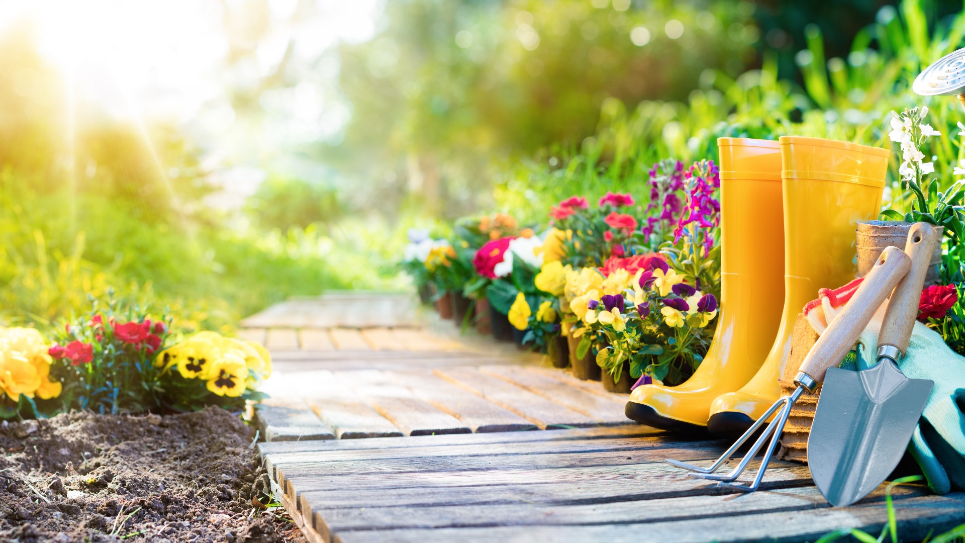 Top Gardening Tips For Landlords